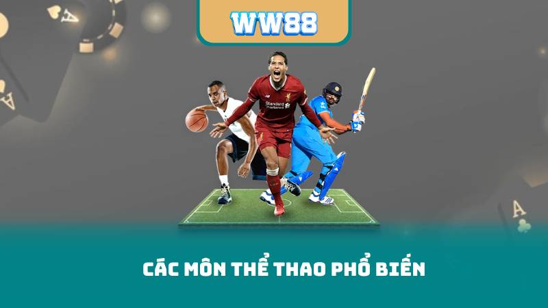 Các môn thể thao phổ biến