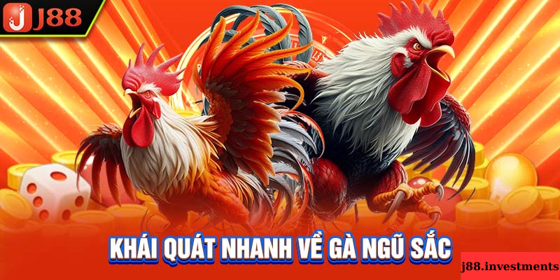 Gà ngũ sắc là gì?